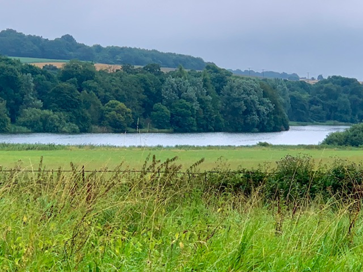 A distance landscape photo across a field of tall grass towards a lake, with a wood and fields beyond.