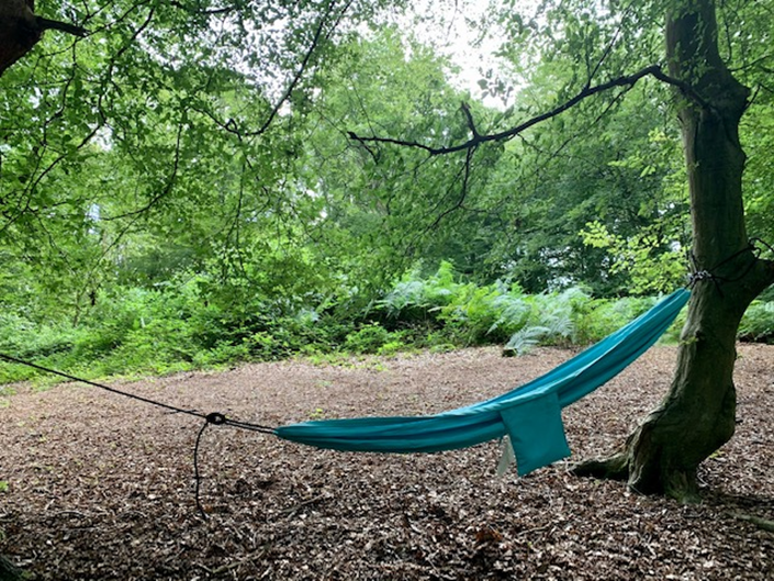 In a clearing in a wood, a green hammock is strung between two trees